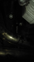marmitta_16
